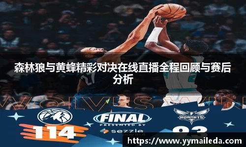 森林狼与黄蜂精彩对决在线直播全程回顾与赛后分析